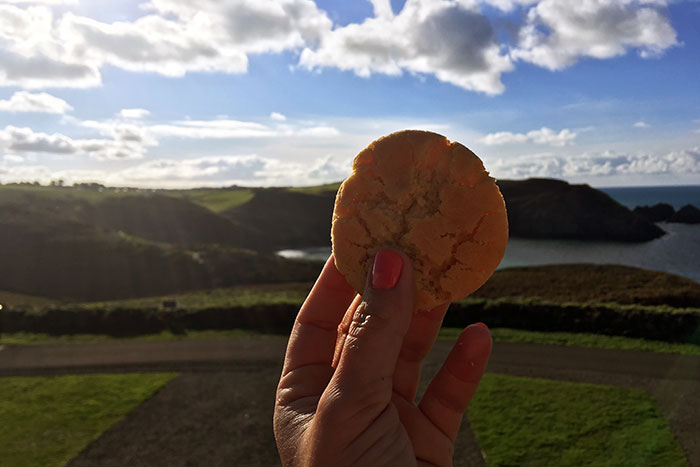 Cornish Fairings